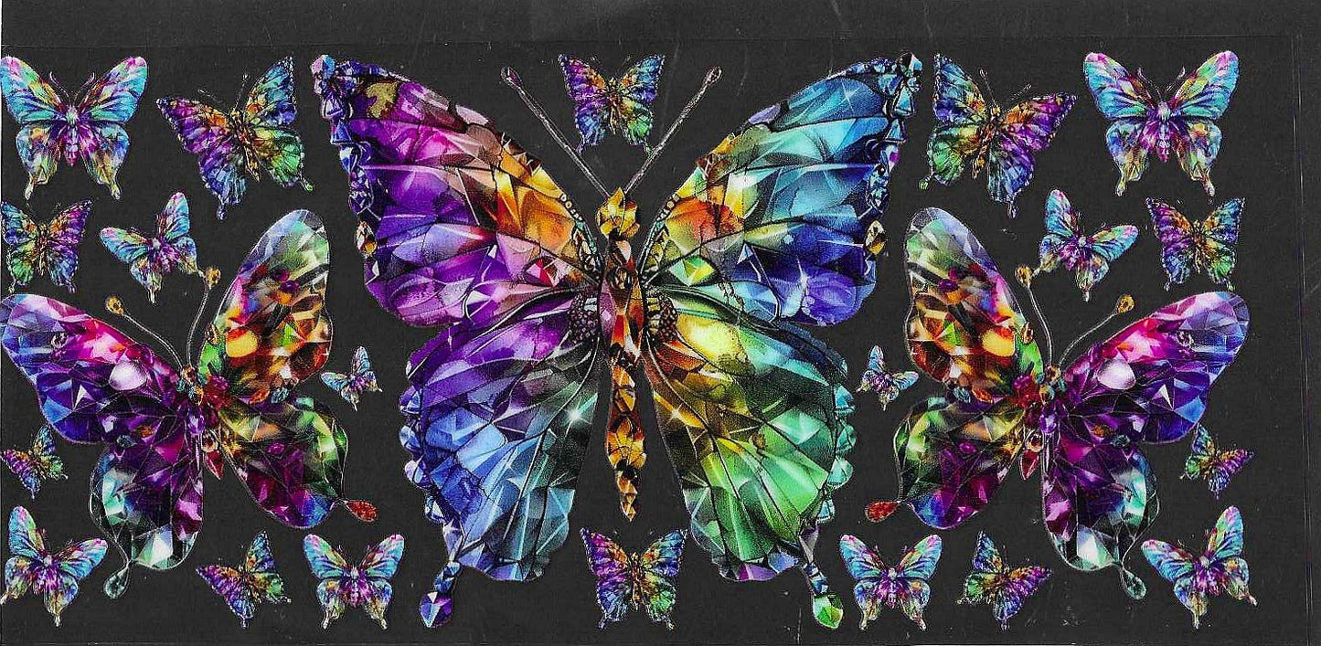 INSECT11