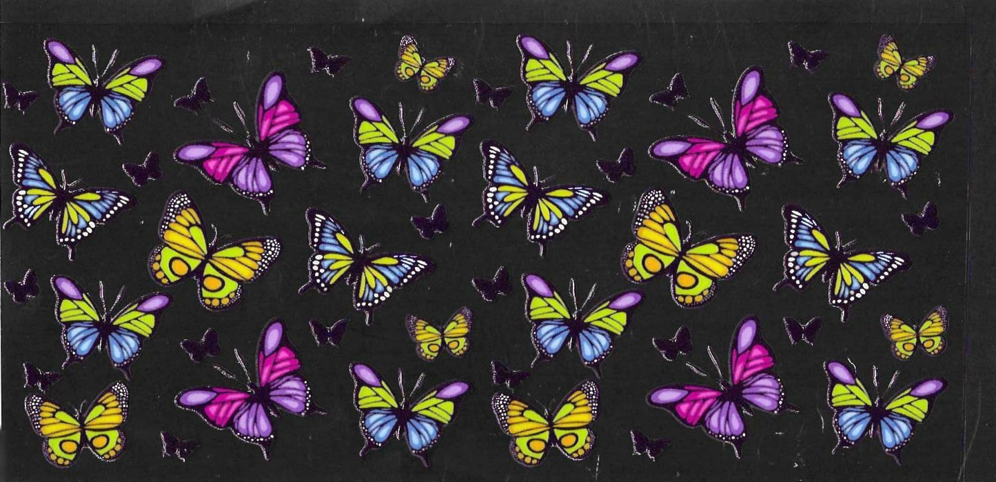 INSECT16