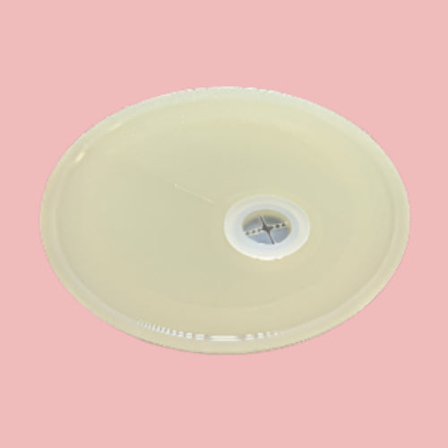 White Lid