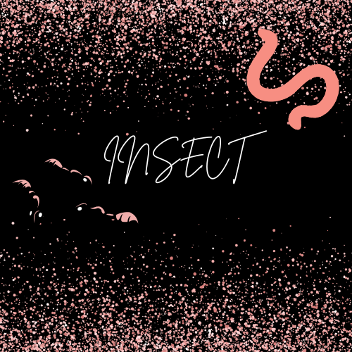 Insects